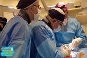 انجام عمل تاوی (تعویض دریچه قلب از طریق آنژیوگرافی) در بخش آنژیوگرافی قلب بیمارستان شریعتی