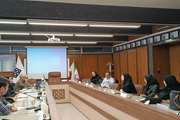 دومین جلسه هم‌اندیشی معاونان بین‌الملل گروه‌های بالینی دانشکده پزشکی دانشگاه علوم پزشکی تهران برگزار شد