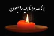 پیام تسلیت رئیس دانشکده پزشکی در پی درگذشت برادر دکتر احمدعلی نوربالا عضو هیأت علمی گروه روانپزشکی