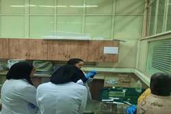 کارگاه کار با حیوانات آزمایشگاهی در دانشکده پزشکی برگزار شد